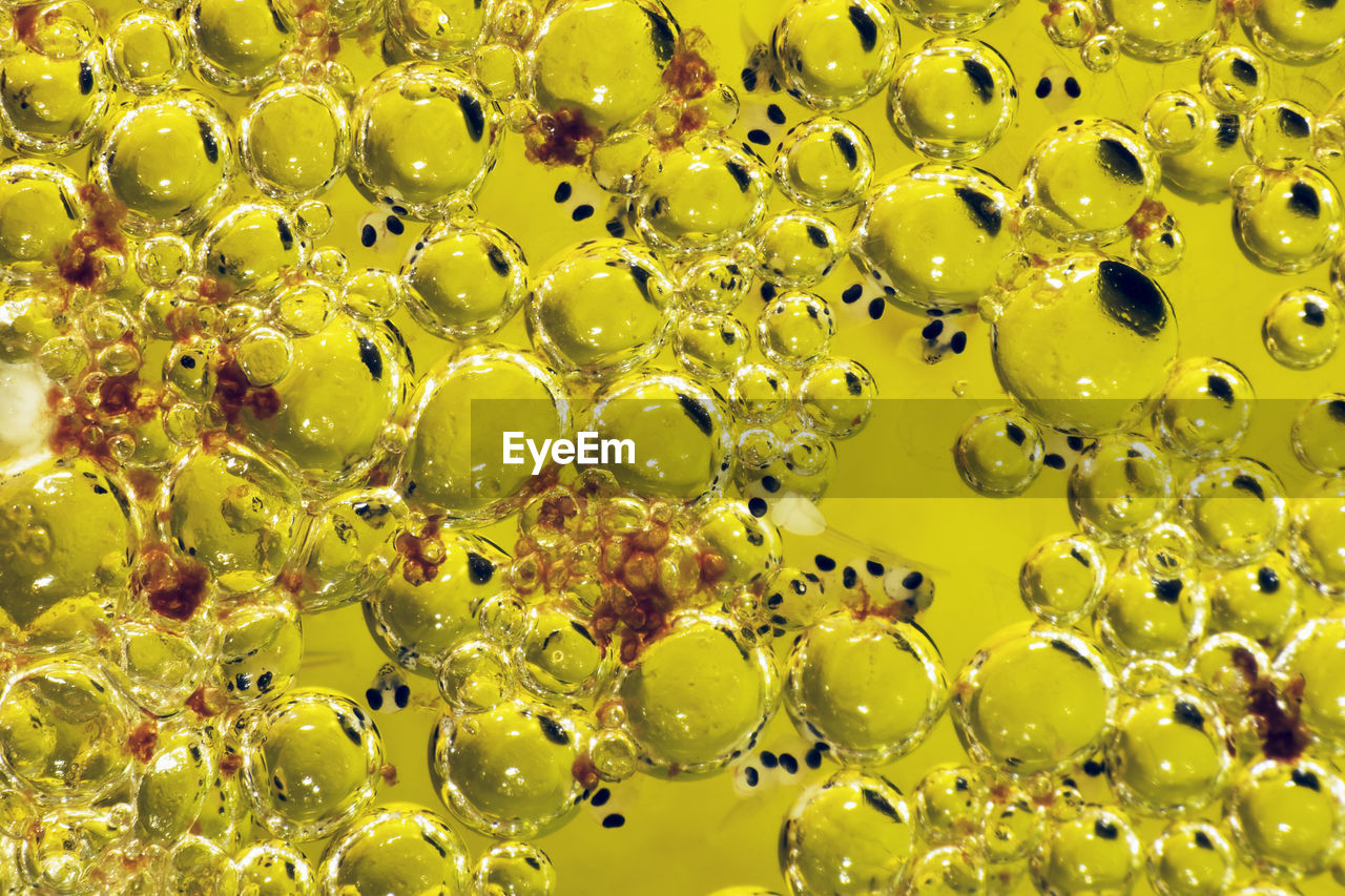 FULL FRAME SHOT OF YELLOW BUBBLES