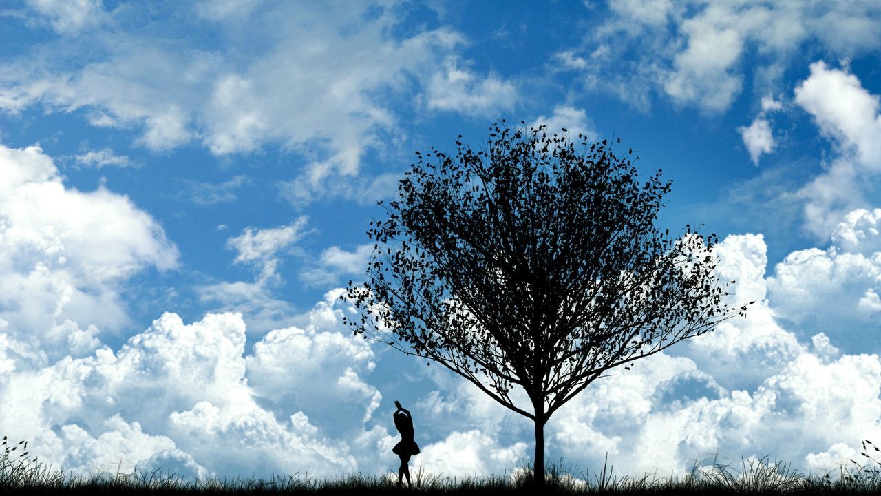 Silhouette ballet dancer under tree against cloudy sky