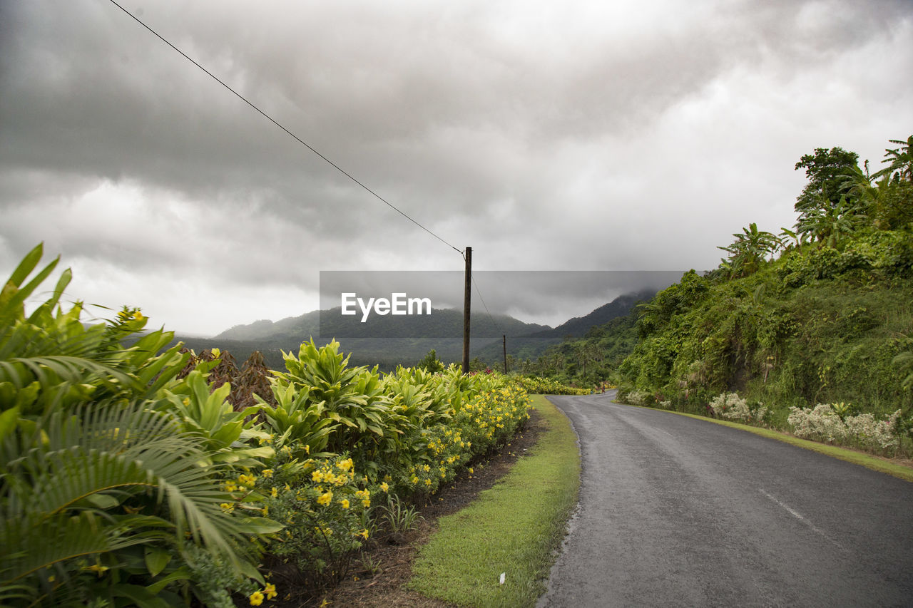 Empty road crossing tropical gardens during a cloudy day, samoa