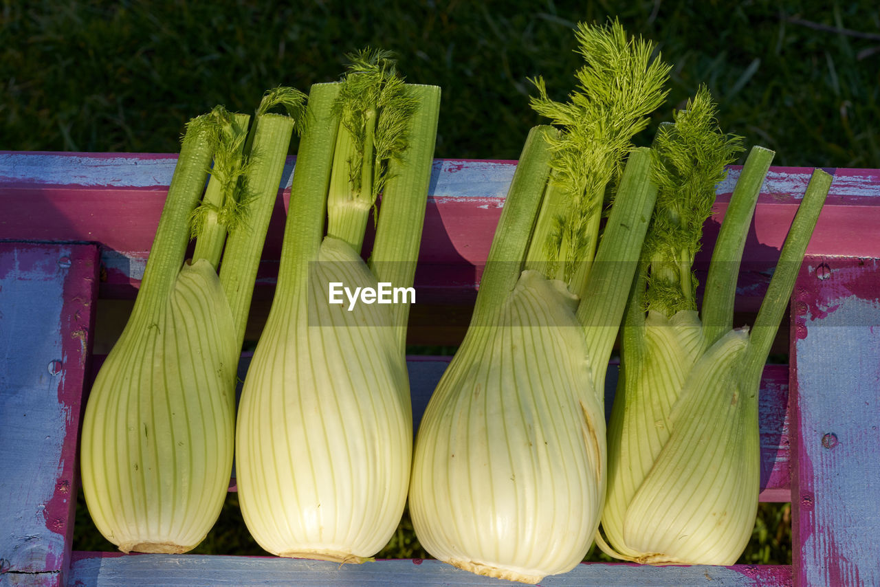 Close-up of vegetables for sale at market stall