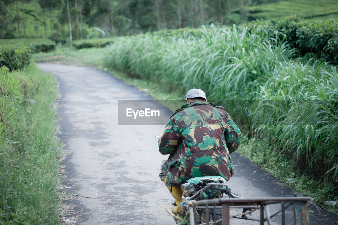 rear view, plant, transportation, nature, one person, road, footpath, the way forward, day, green, outdoors, men, land, person, adult, clothing, tree, walking, landscape, growth, rural area, rural scene, grass