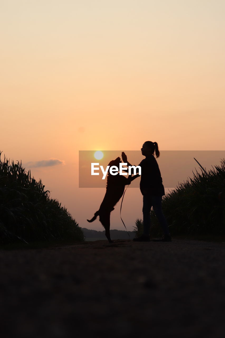Silhouette girl and dog standing against orange sky during sunset
