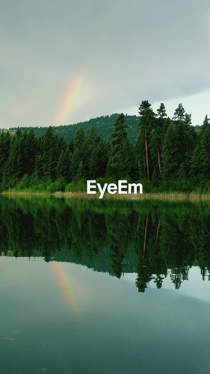 SCENIC VIEW OF LAKE WITH TREES REFLECTION AGAINST SKY