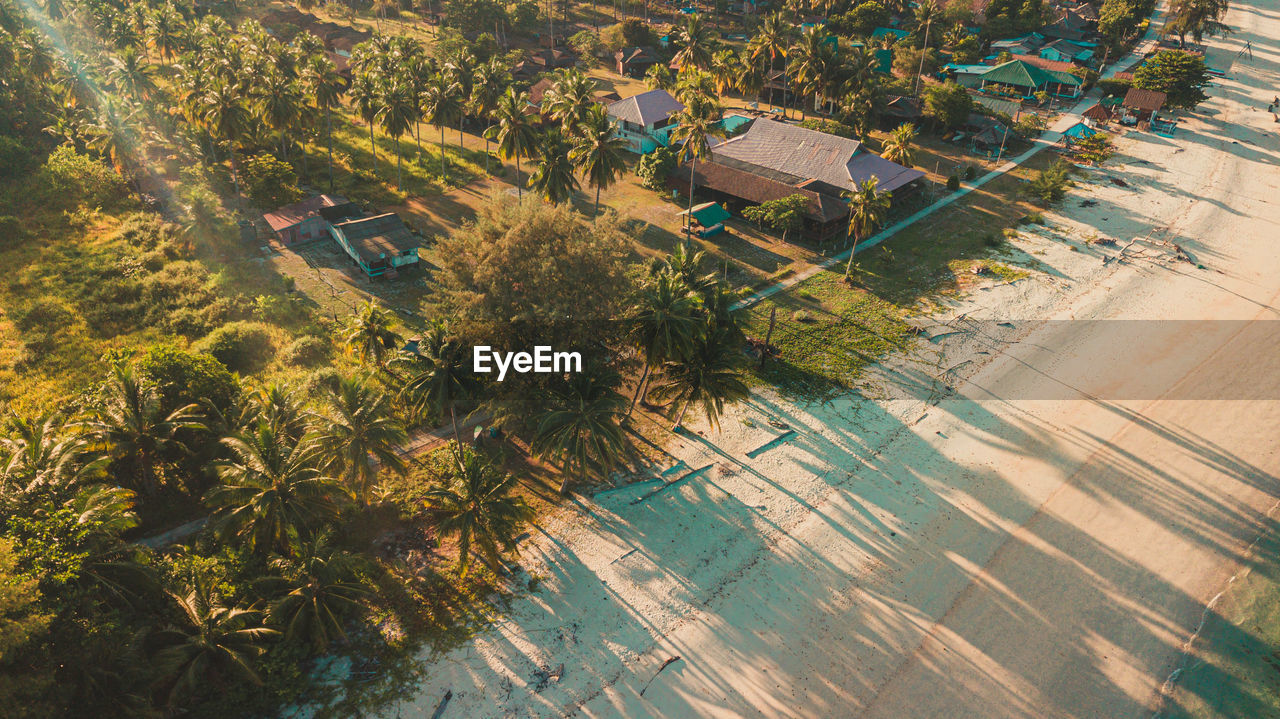 high angle view, plant, tree, aerial photography, nature, aerial view, land, growth, architecture, day, landscape, no people, sunlight, agriculture, outdoors, water, built structure, tropical climate, environment, beauty in nature, building exterior, scenics - nature, field, building, rural scene, palm tree, green, city, reflection