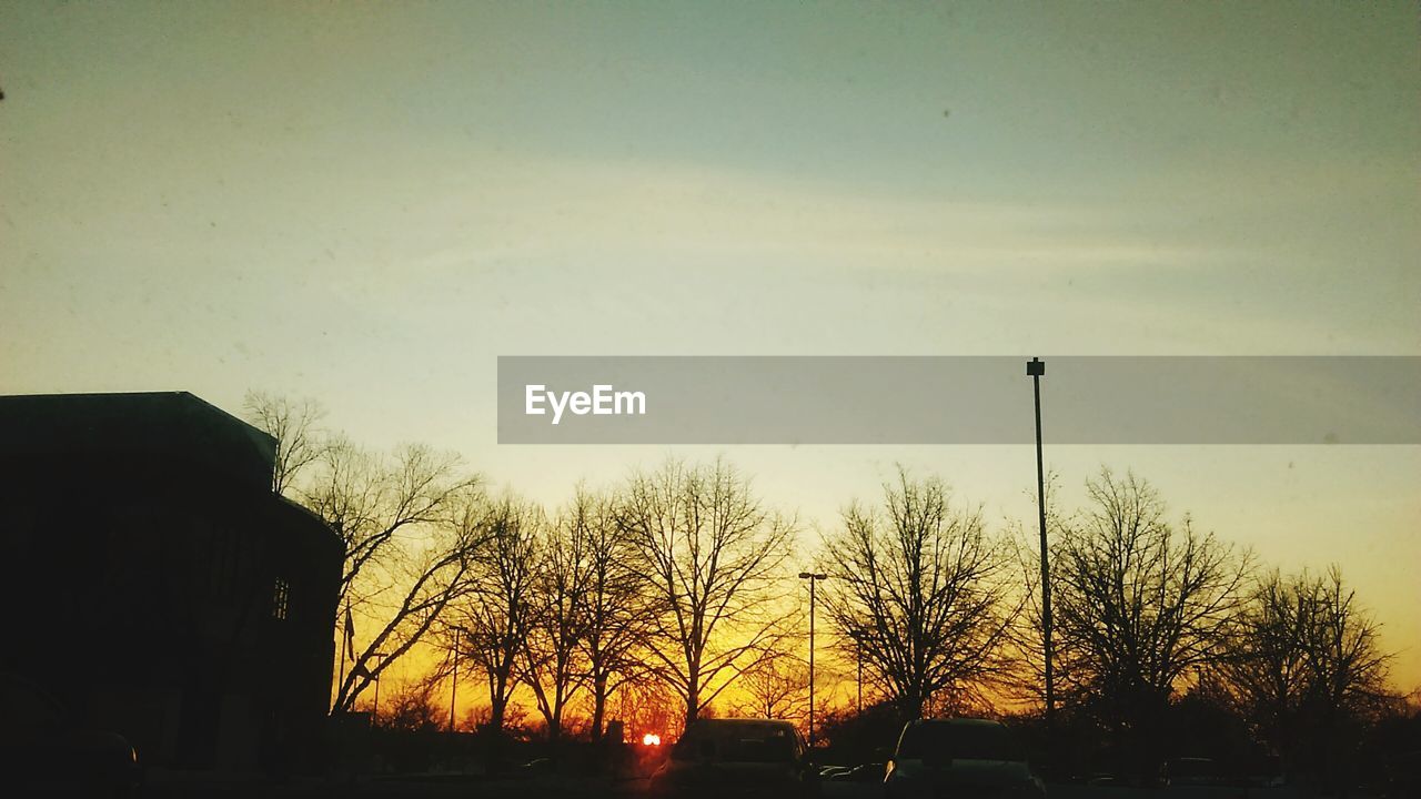 Low angle view of bare trees against sky during sunset