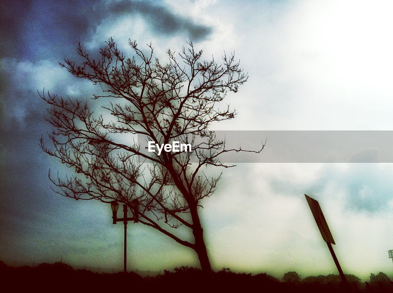 LOW ANGLE VIEW OF SILHOUETTE TREE AGAINST STORM CLOUDS
