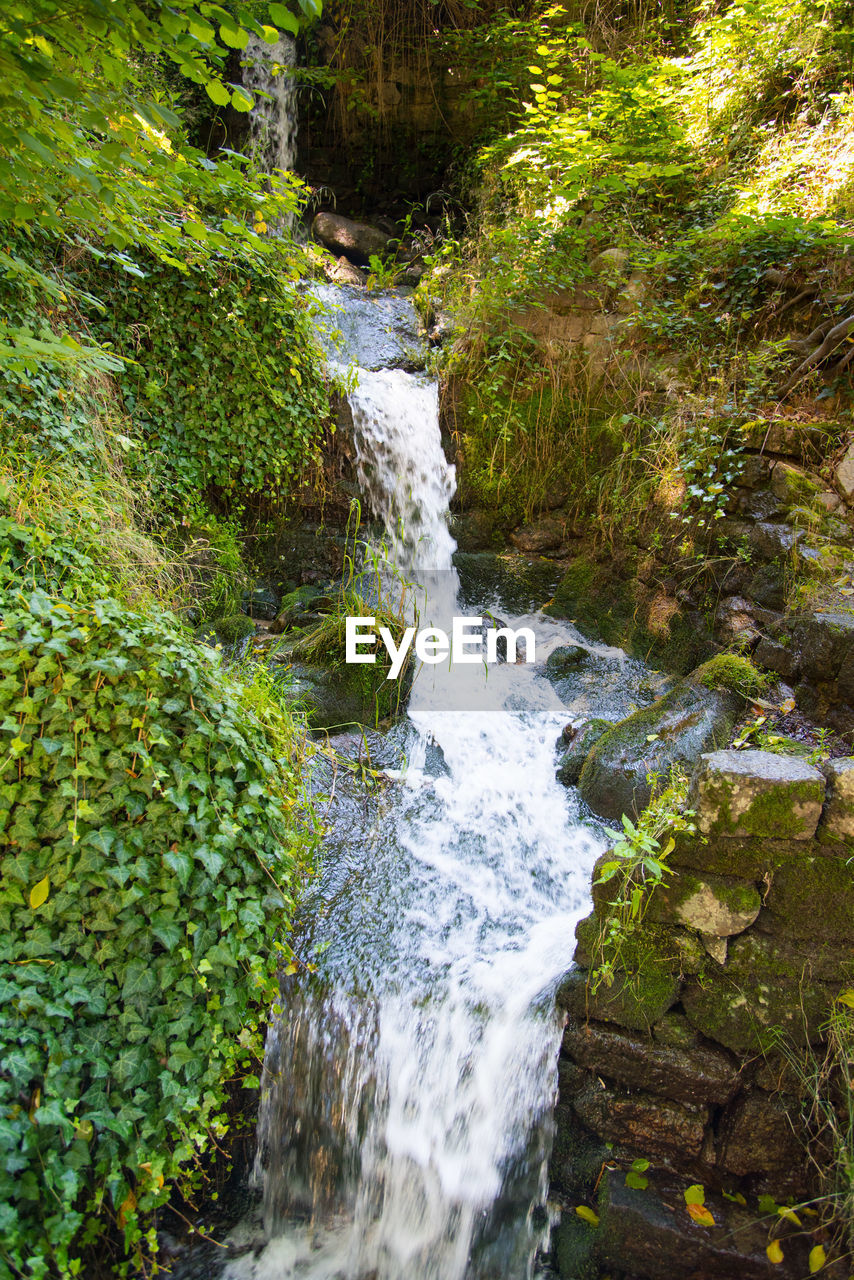 Scenic view of waterfall in forest