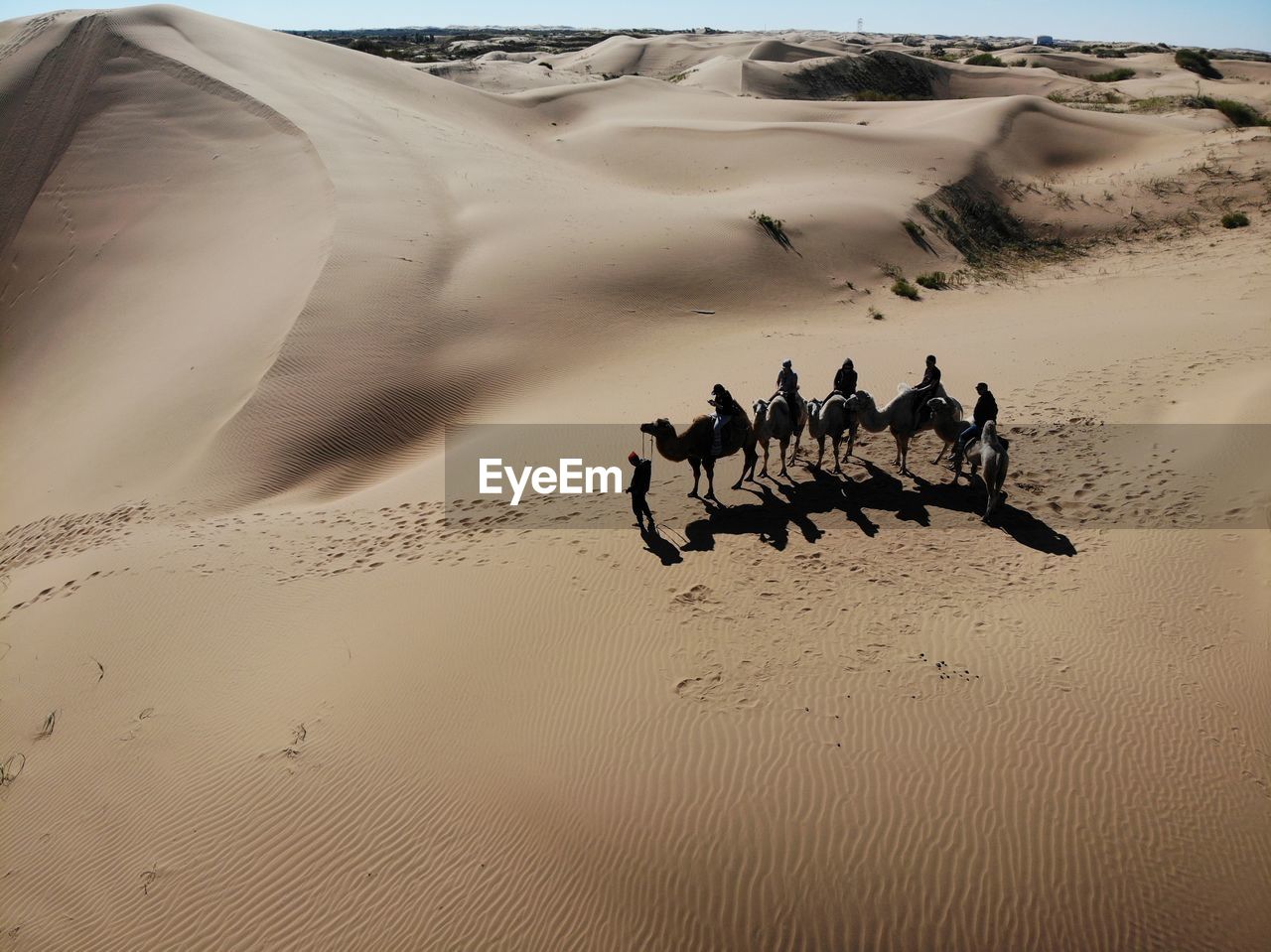 High angle view of people riding on camels at desert during sunny day