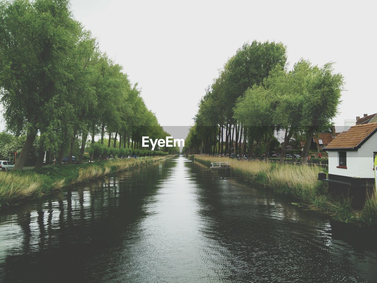 View of canal along trees