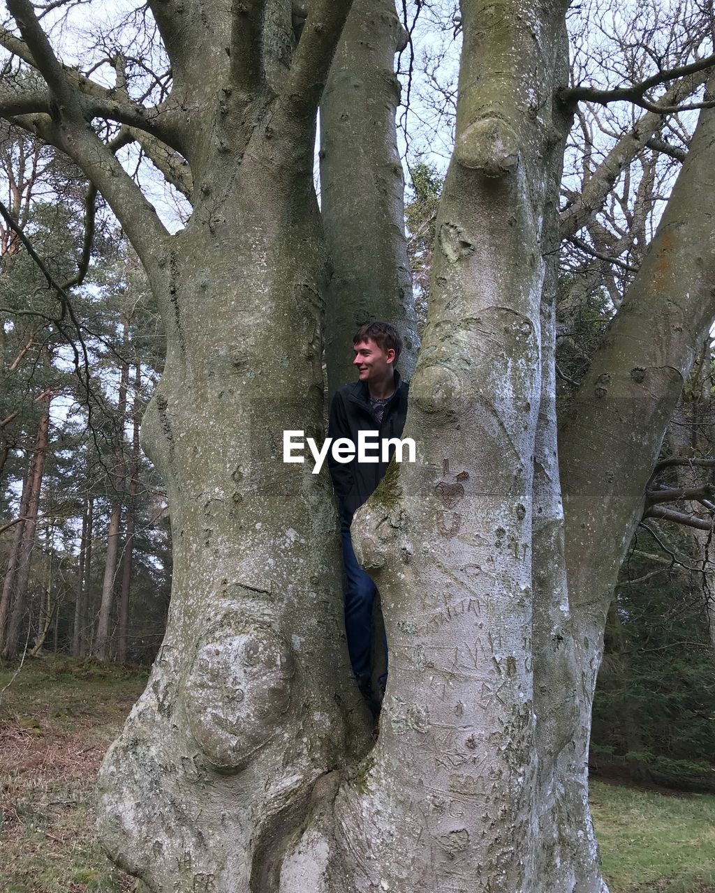 YOUNG MAN STANDING ON TREE TRUNK