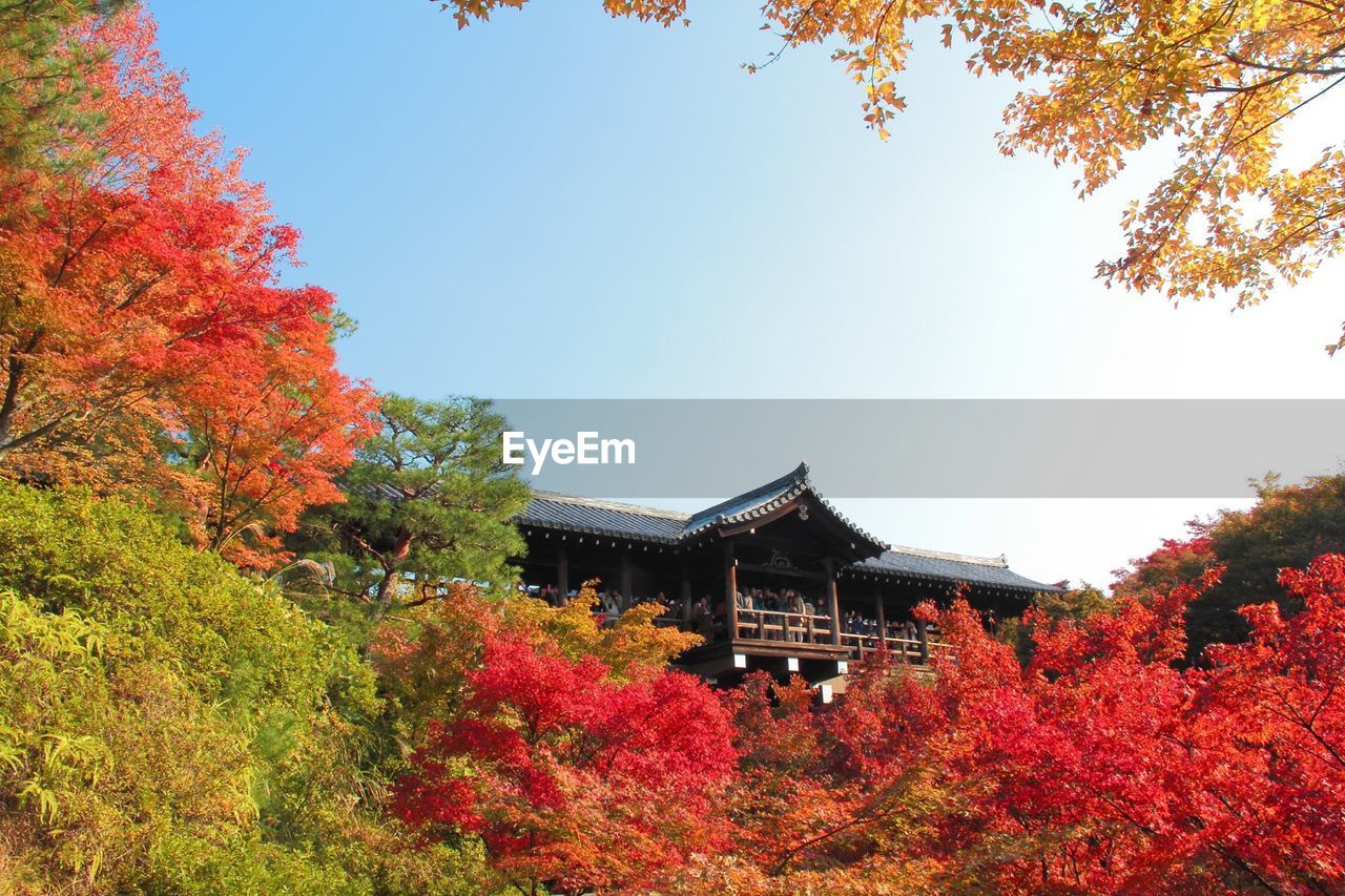 Low angle view of traditional building and autumn trees against sky