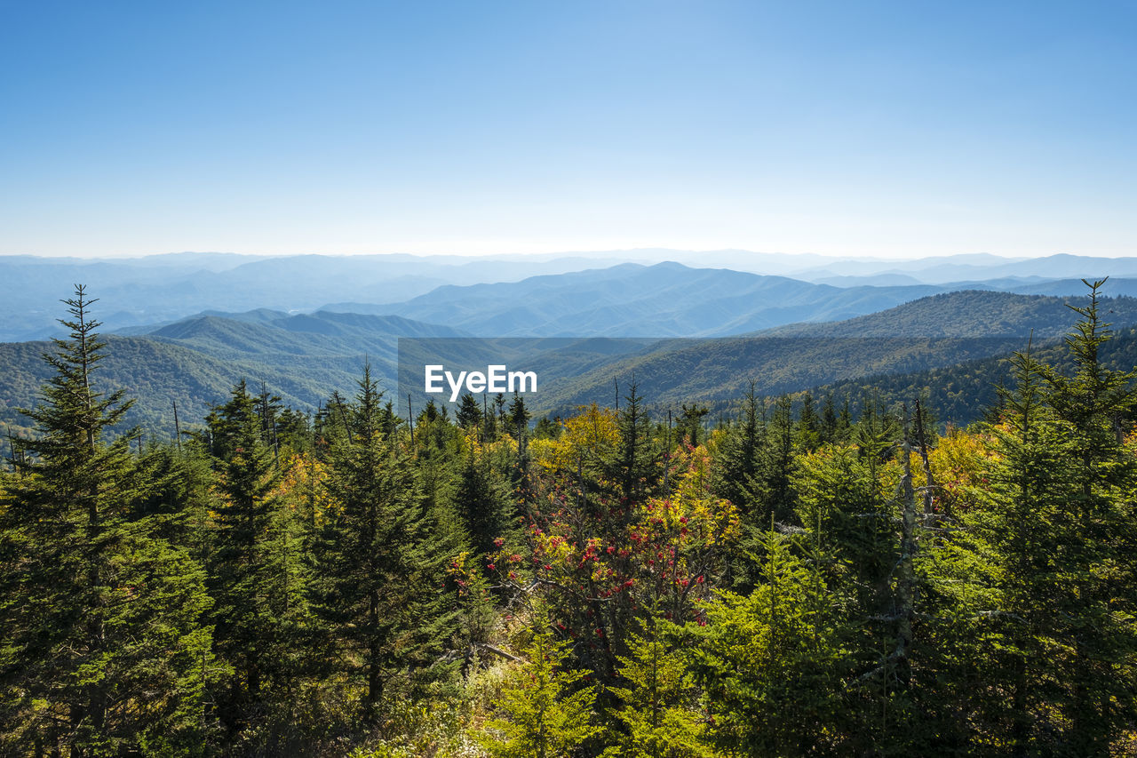 Smoky mountains national park, clingmans dome, border of north carolina and tennessee, united states