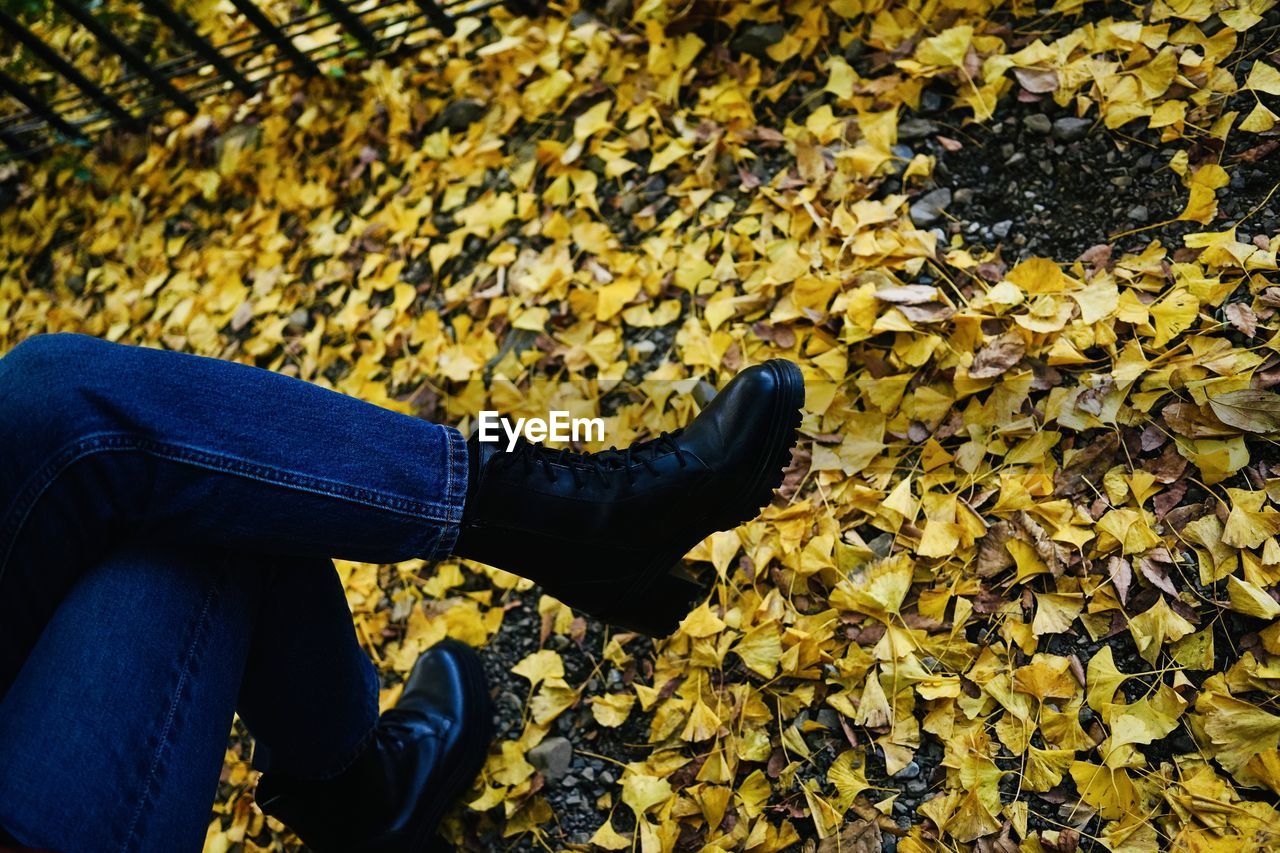 leaf, autumn, plant part, yellow, one person, human leg, low section, nature, shoe, lifestyles, jeans, leisure activity, casual clothing, falling, day, adult, leaves, footwear, sunlight, high angle view, limb, outdoors, women, sitting, human limb, personal perspective, clothing, flower, dry, men, plant, land, standing