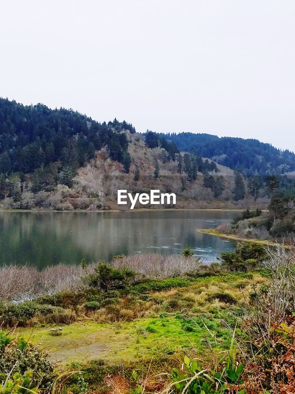 SCENIC VIEW OF LAKE AGAINST CLEAR SKY