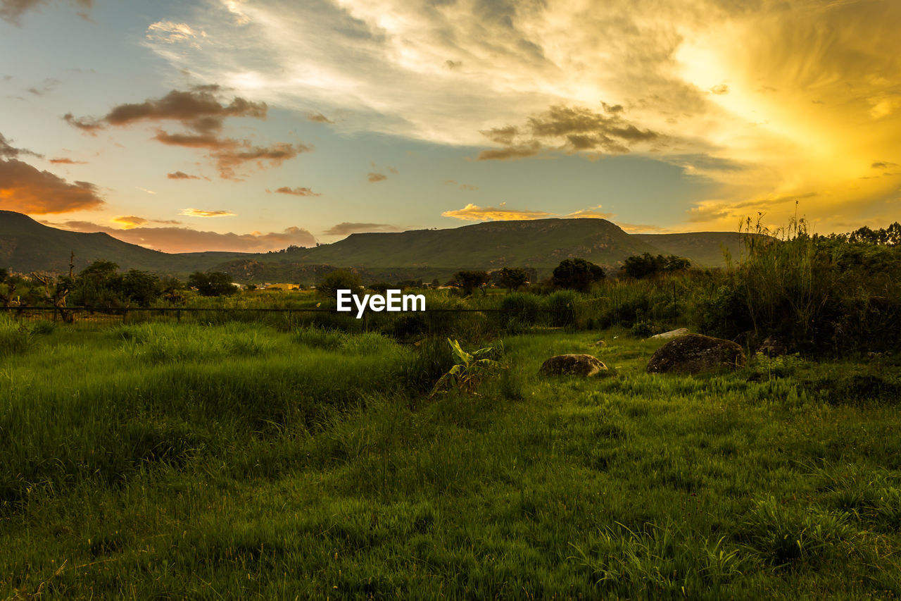 Scenic view of field against sky during sunset