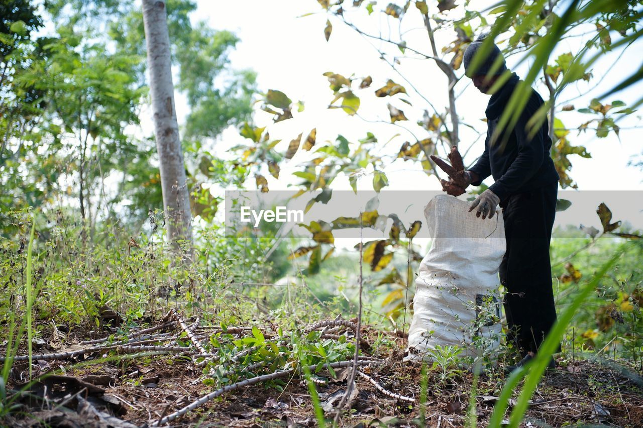 VIEW OF TREES