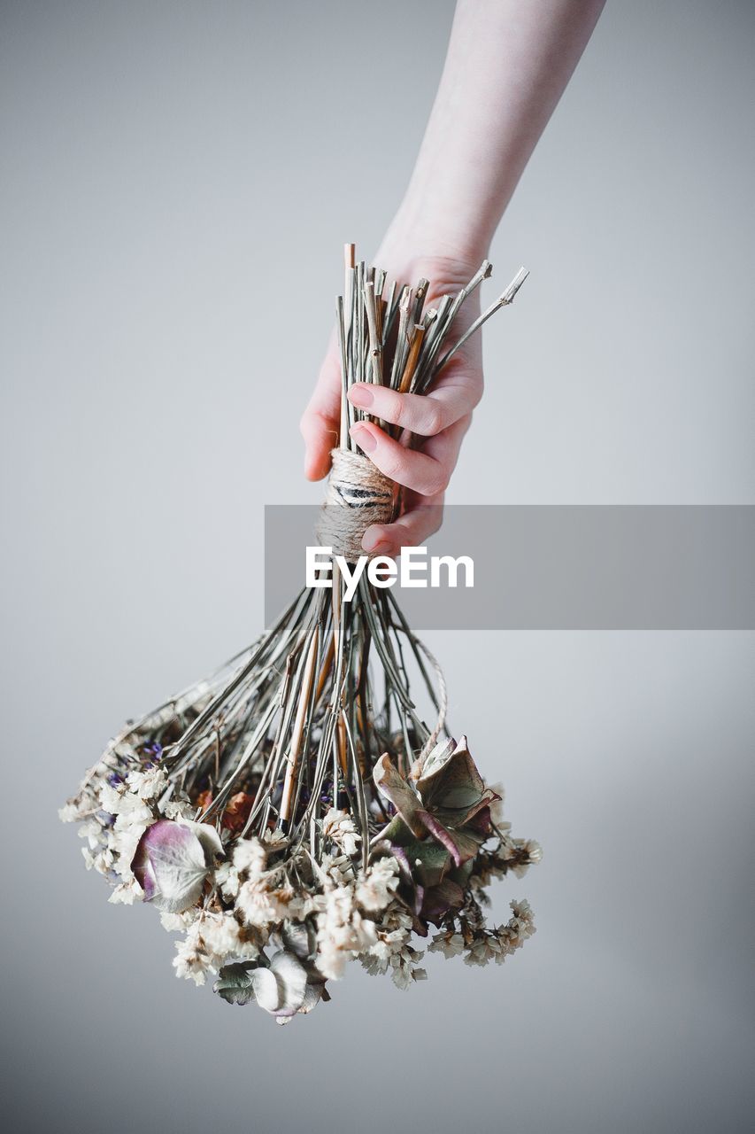 Cropped hand of woman holding wilted flowers against gray background