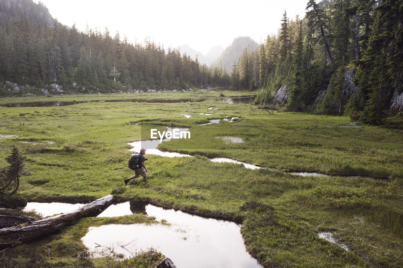 Man walking on grassy field amidst trees