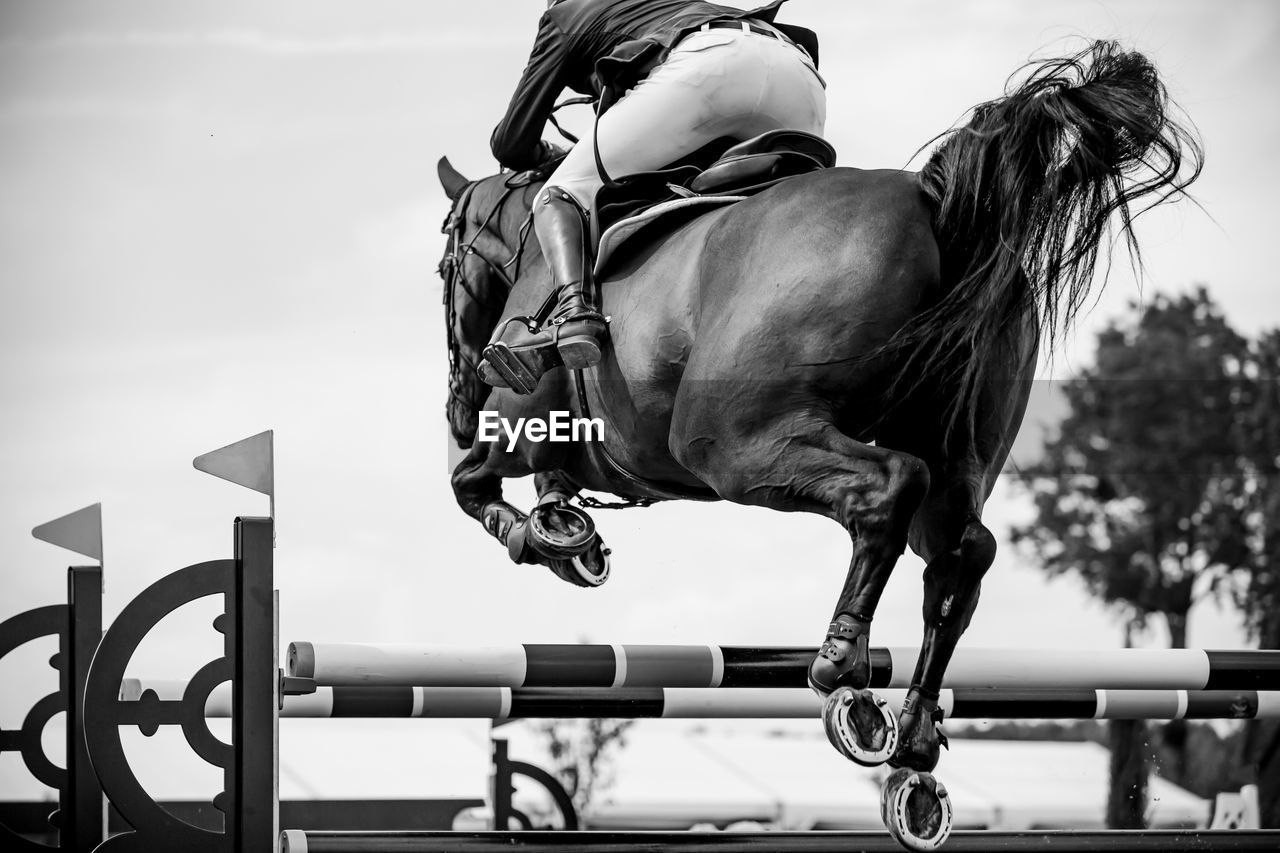 Horse jumping, equestrian sports, show jumping competition themed photograph.