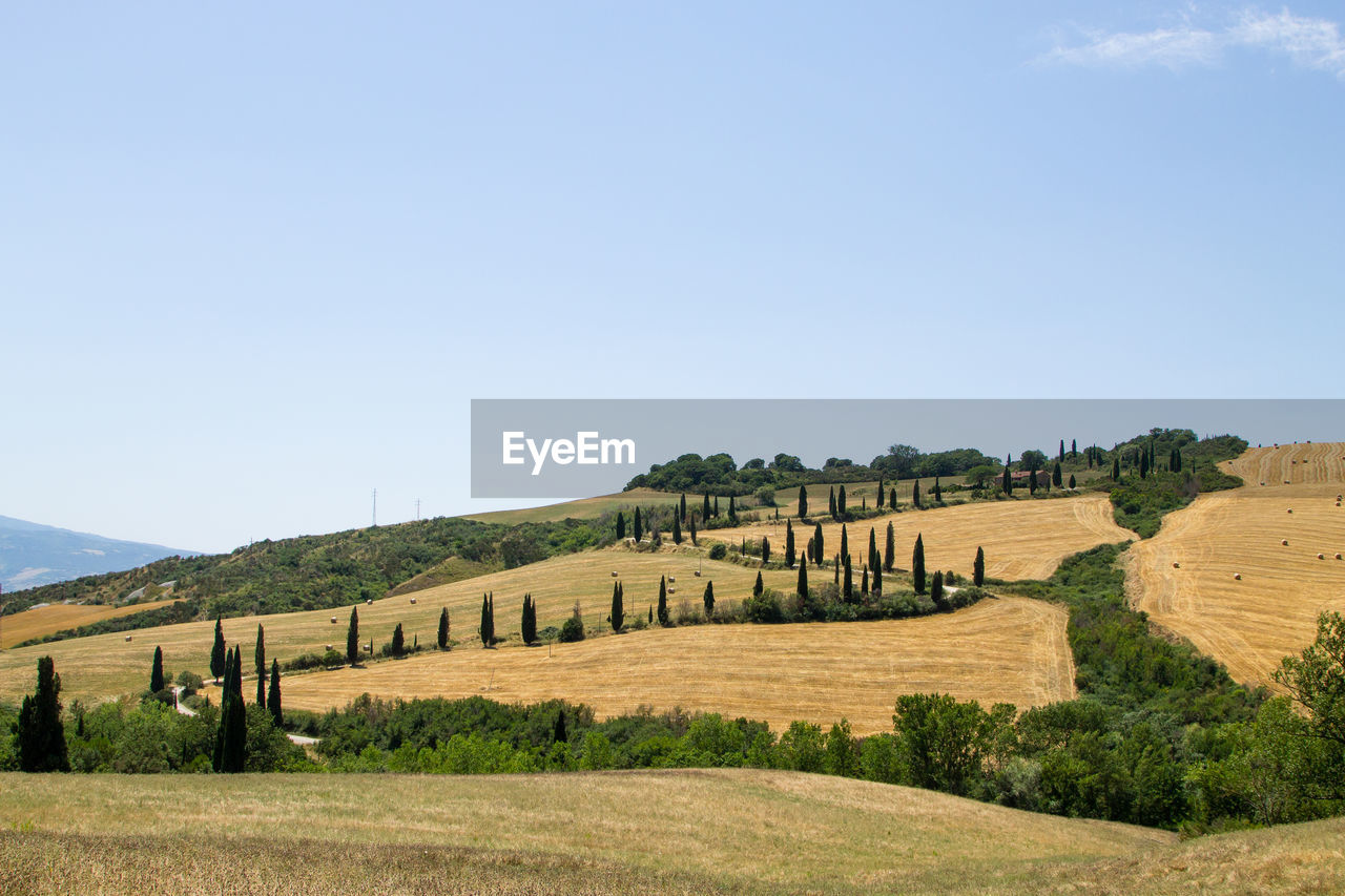 SCENIC VIEW OF FARM AGAINST SKY