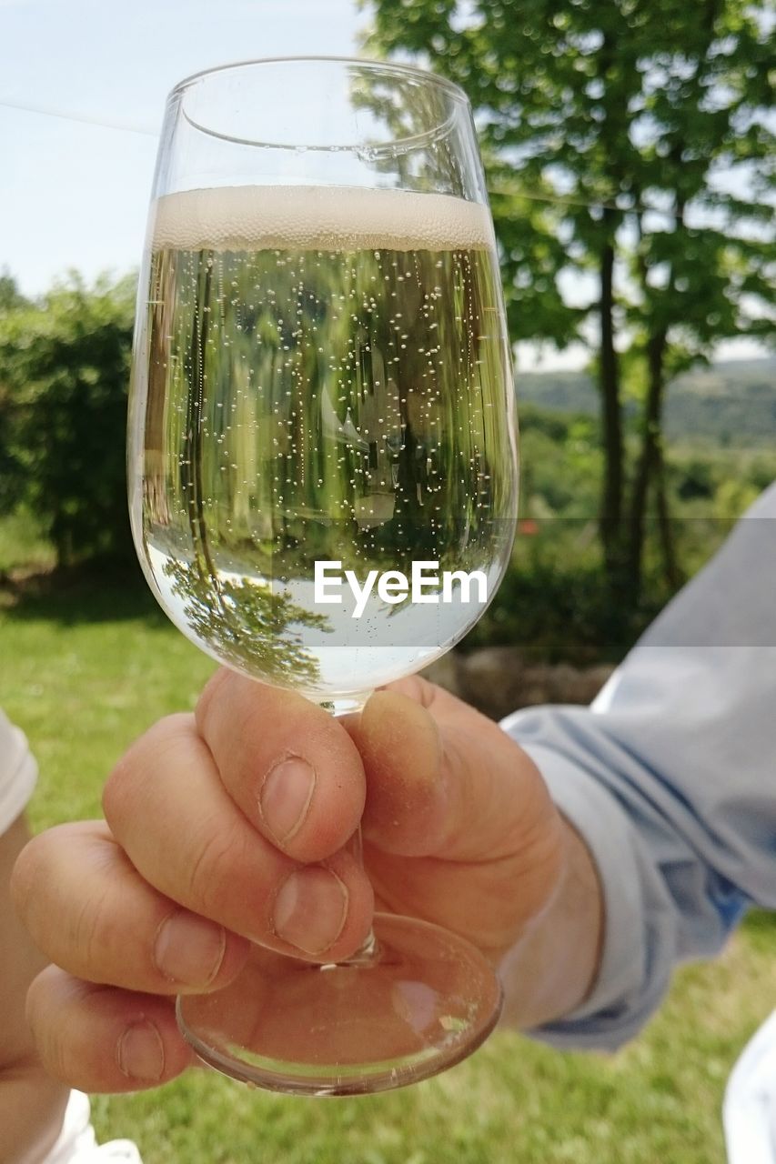 Close-up of human hand holding wineglass