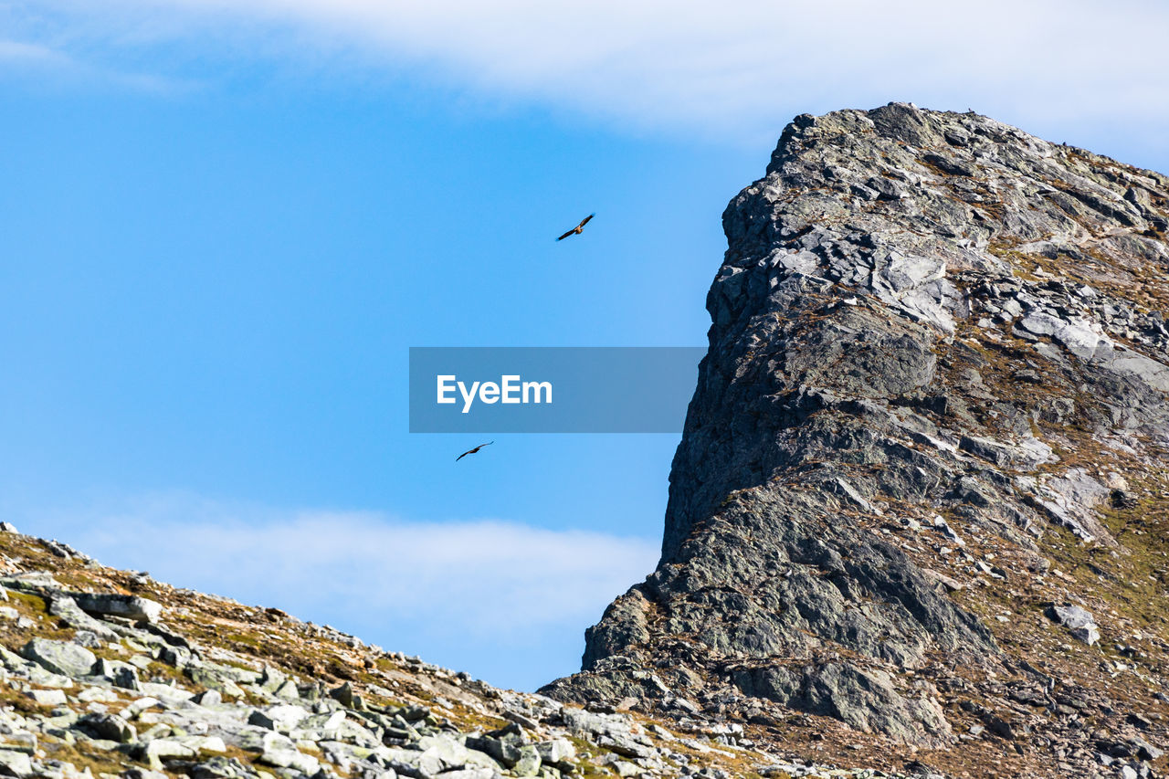 Low angle view of birds flying over mountain against sky