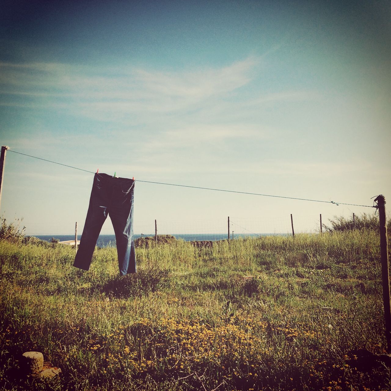 Jeans drying on clothesline at beach