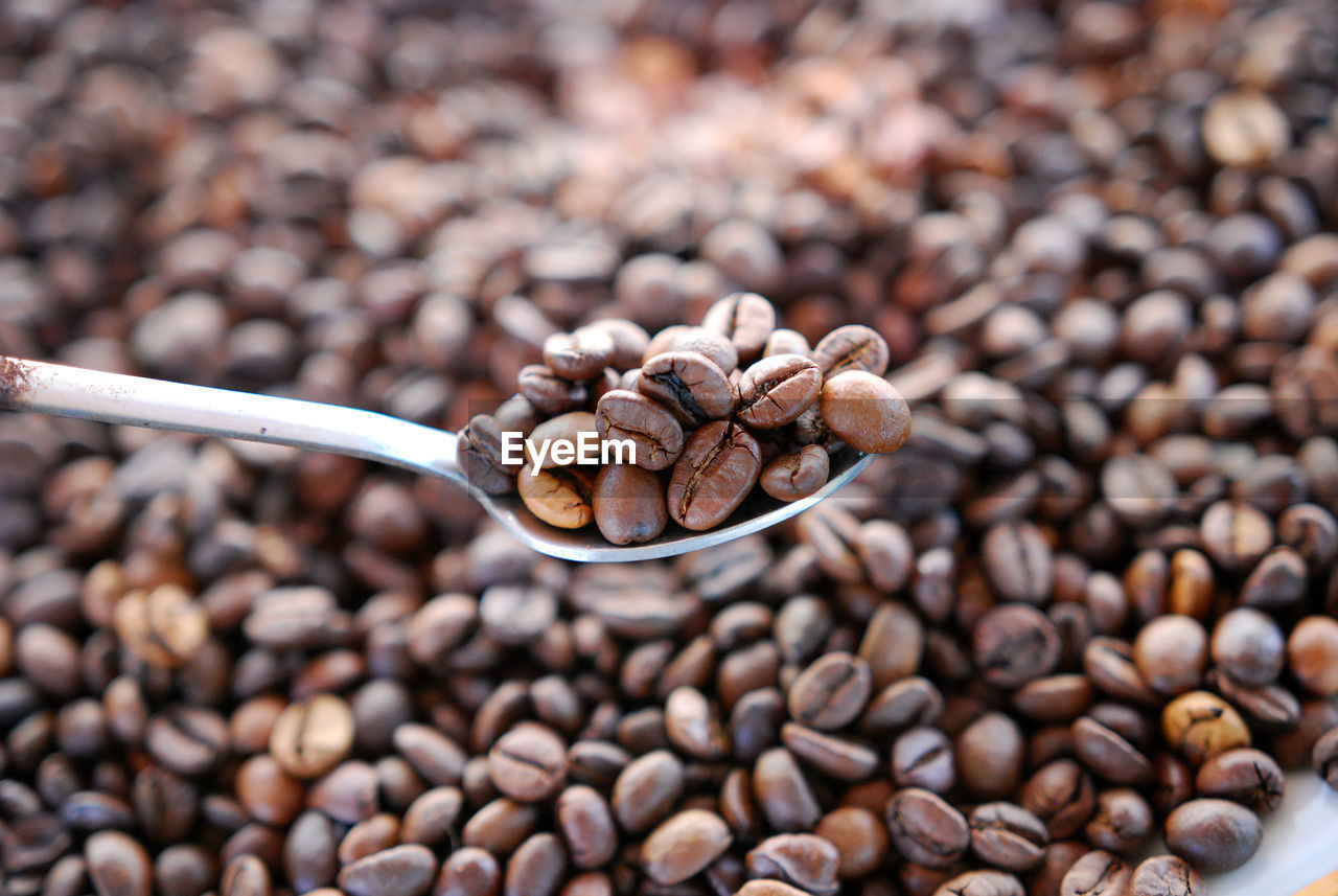 Close-up of coffee bean in spoon