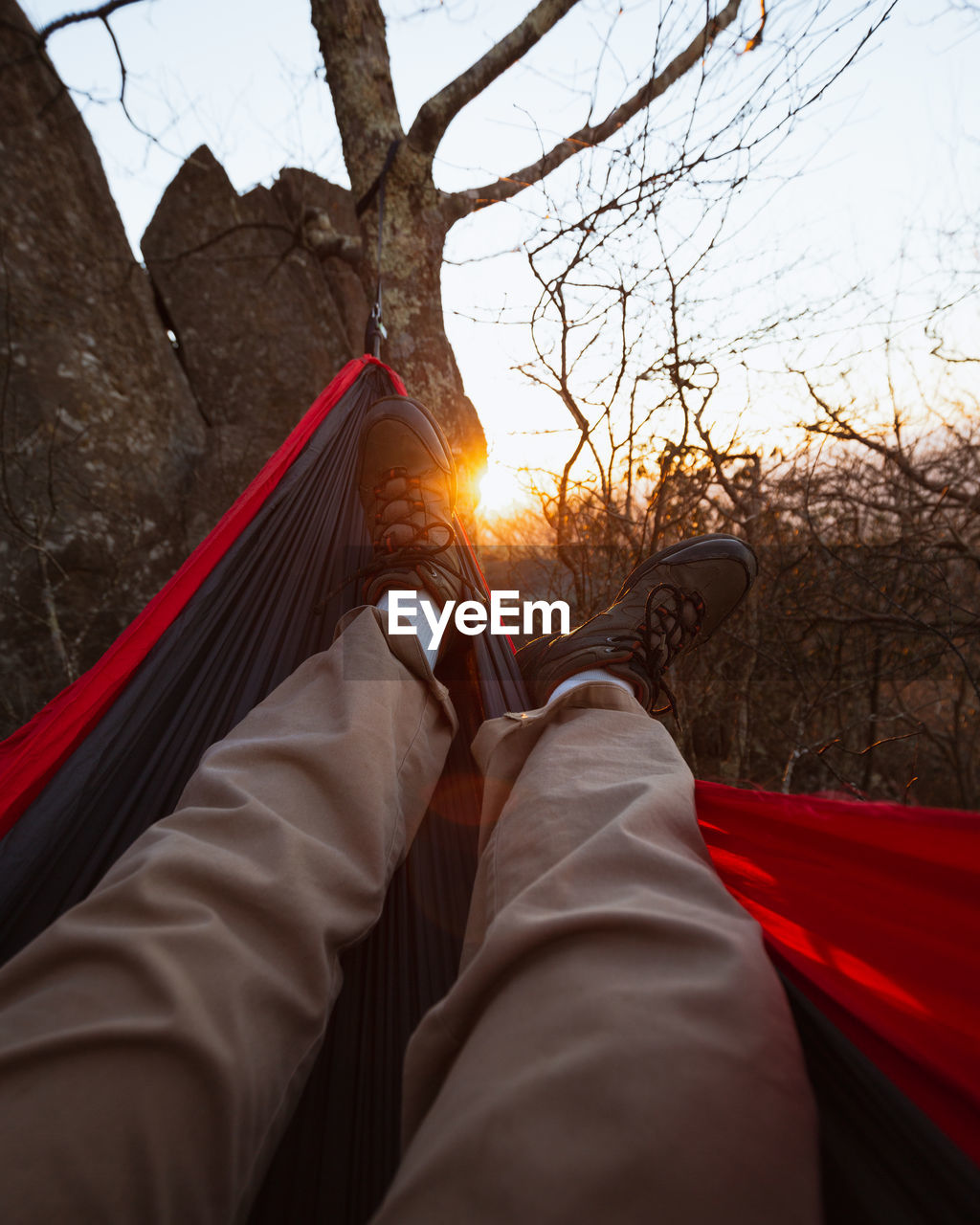Low section of man relaxing in hammock at forest