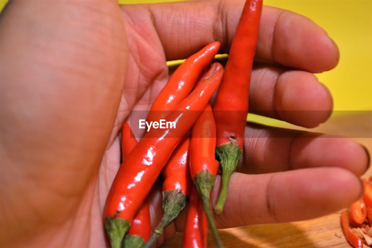CLOSE-UP OF HAND HOLDING RED CHILI