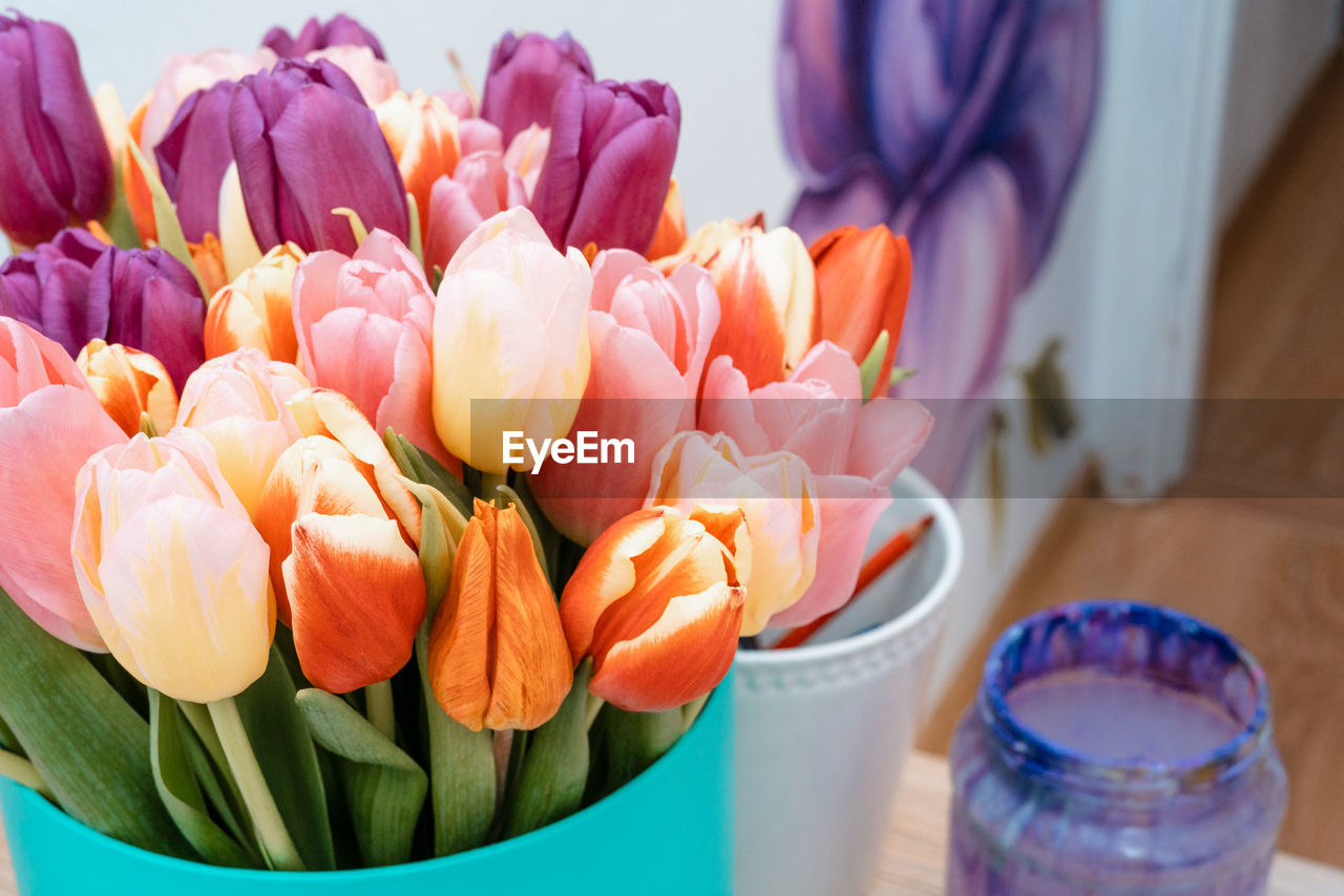 CLOSE-UP OF MULTI COLORED TULIPS