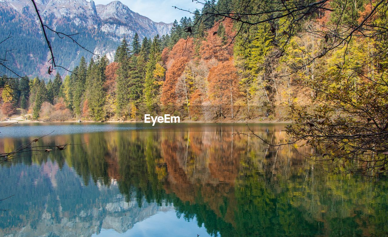 Reflection of trees in lake during autumn