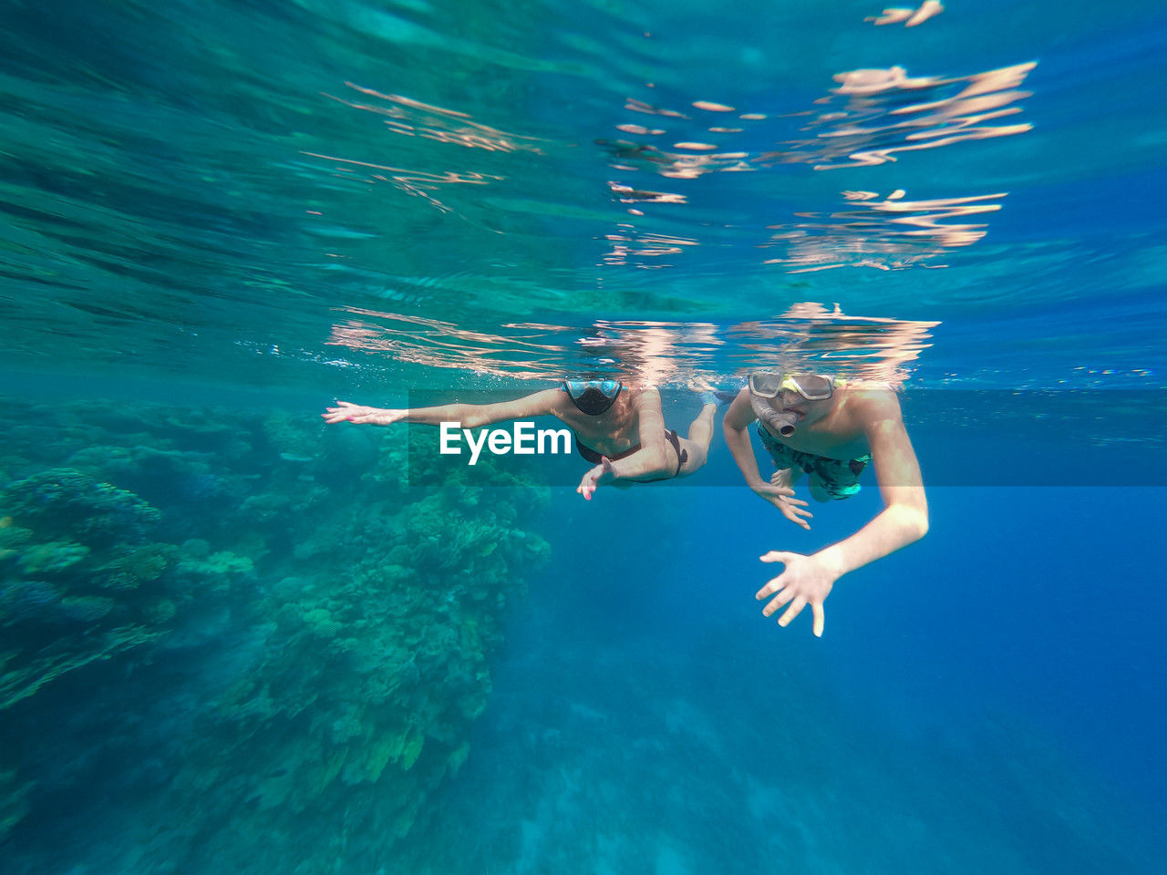 rear view of woman swimming in sea