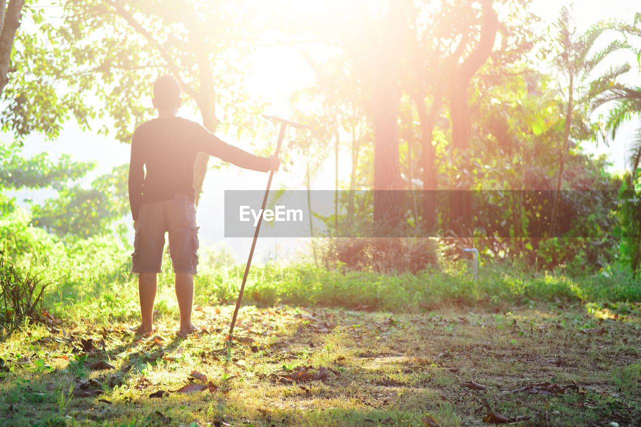 Rear view of man standing in forest