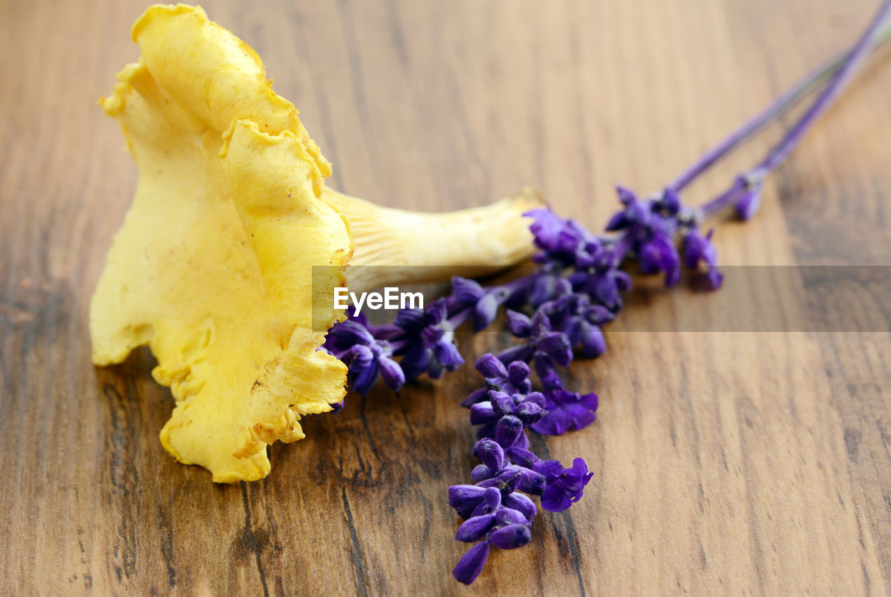 Golden chanterelle and flower on wooden table
