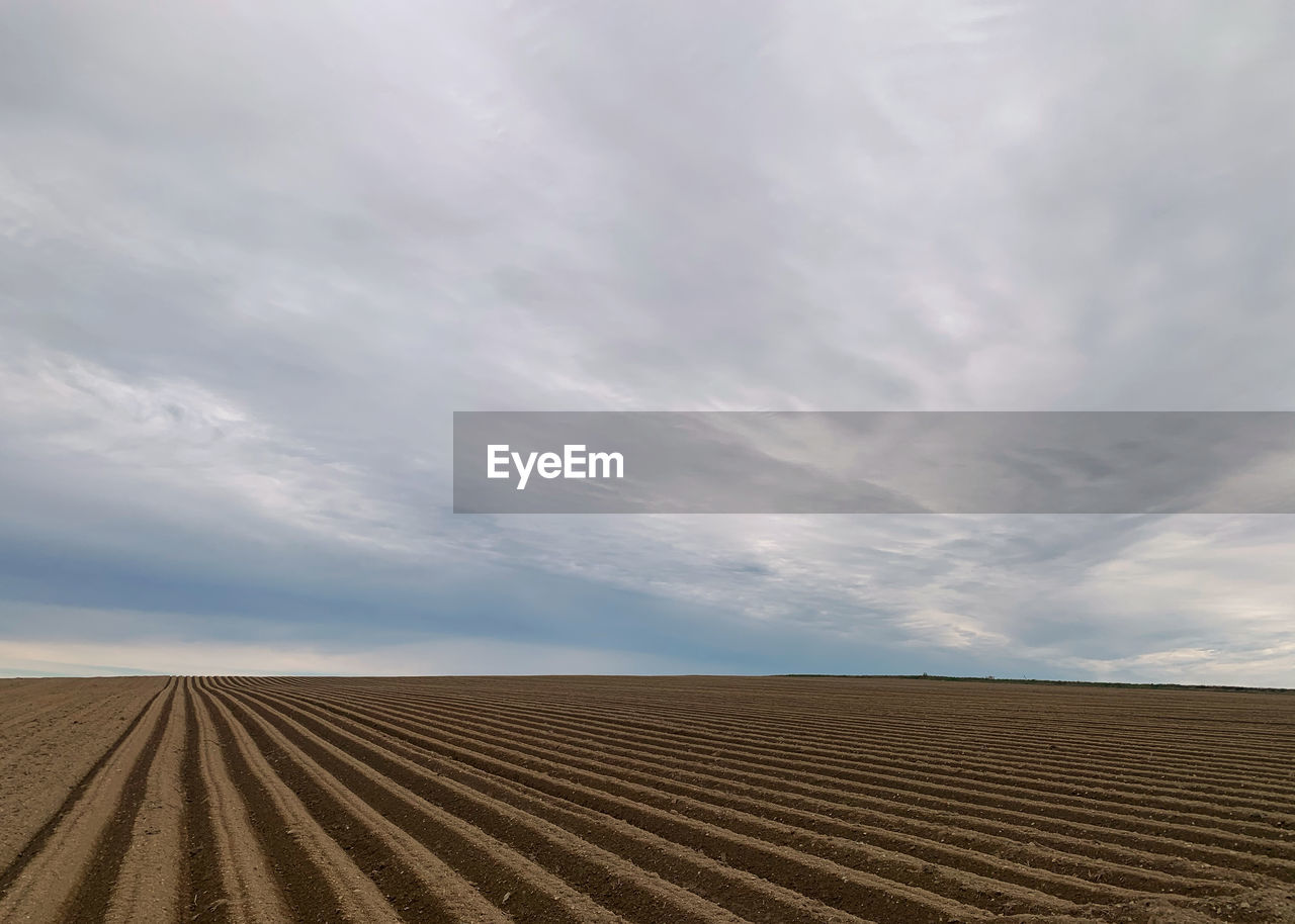 Scenic view of agricultural field against sky