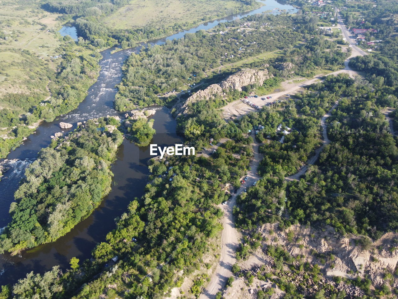 HIGH ANGLE VIEW OF PLANTS AND LAND