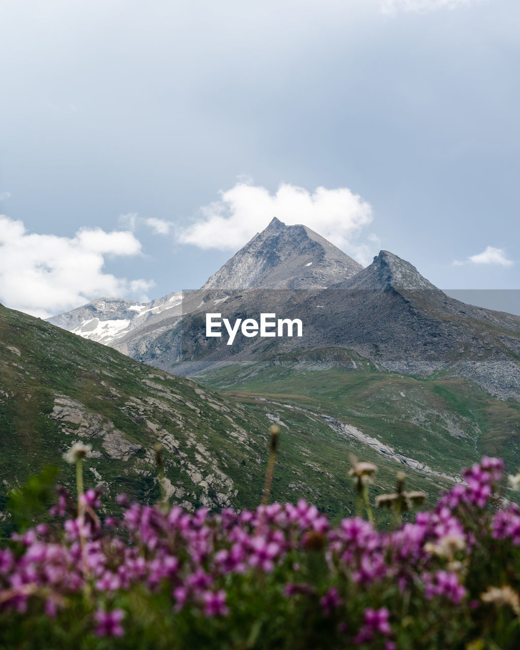 Scenic view of mountains with flowers in foreground