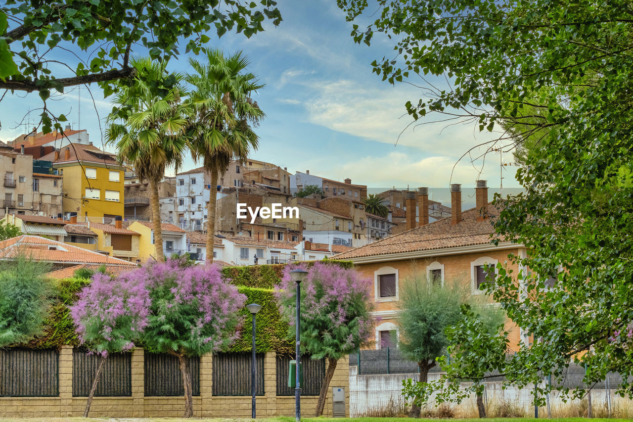 trees and buildings against sky