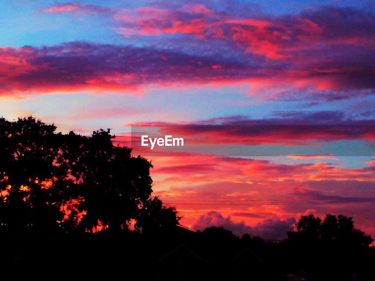 SILHOUETTE OF TREES AGAINST SKY AT SUNSET