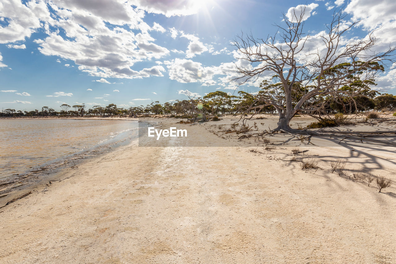 Scenic view of land against sky