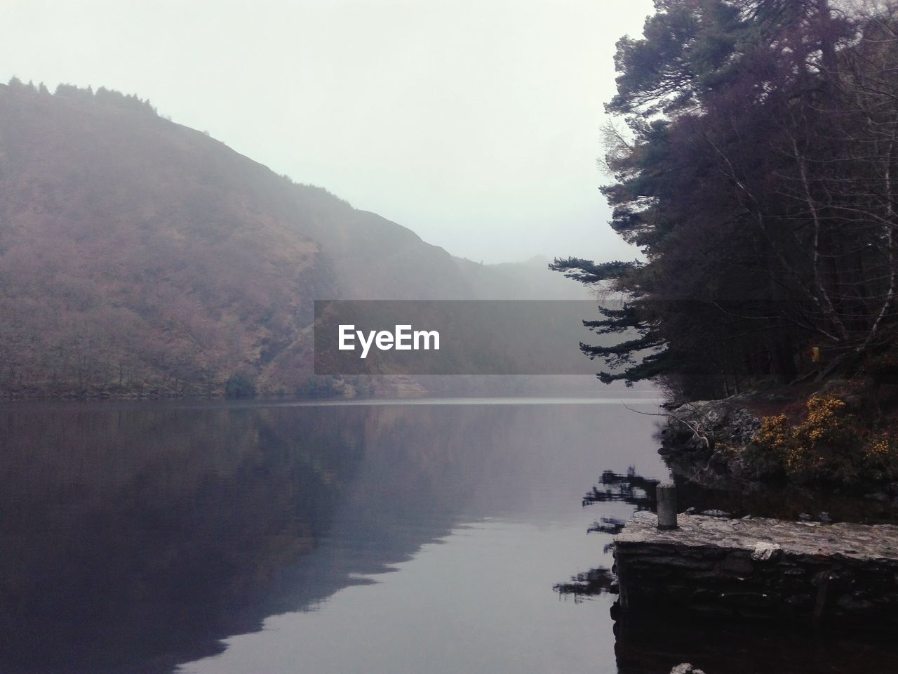 Scenic view of lake by trees against sky