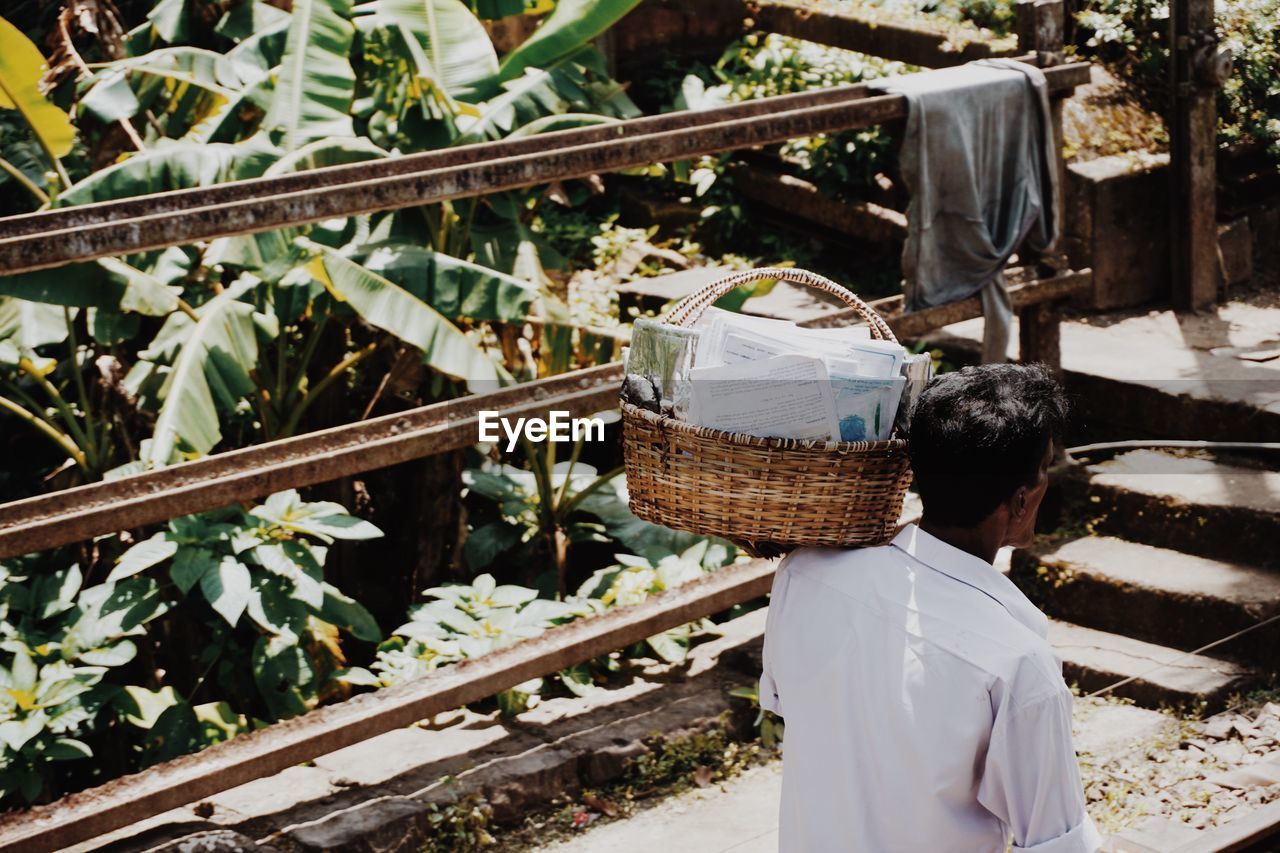 REAR VIEW OF MAN WORKING IN BASKET OF FARM