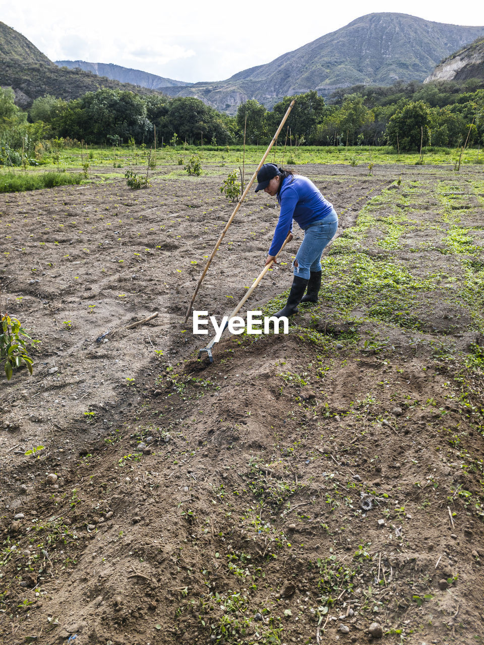 Women tilling the land nature in growth, agricultura fertile ground