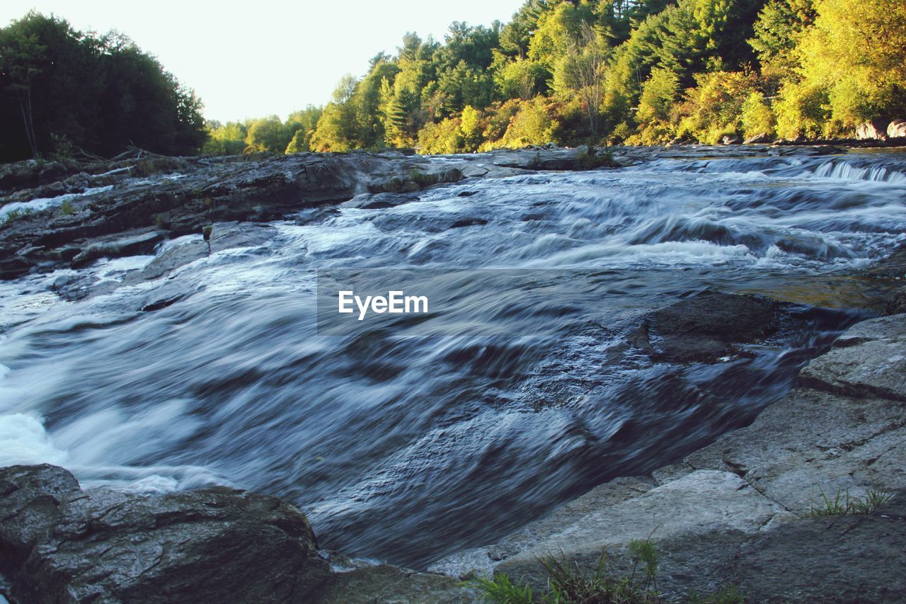 Scenic view of waterfall in forest