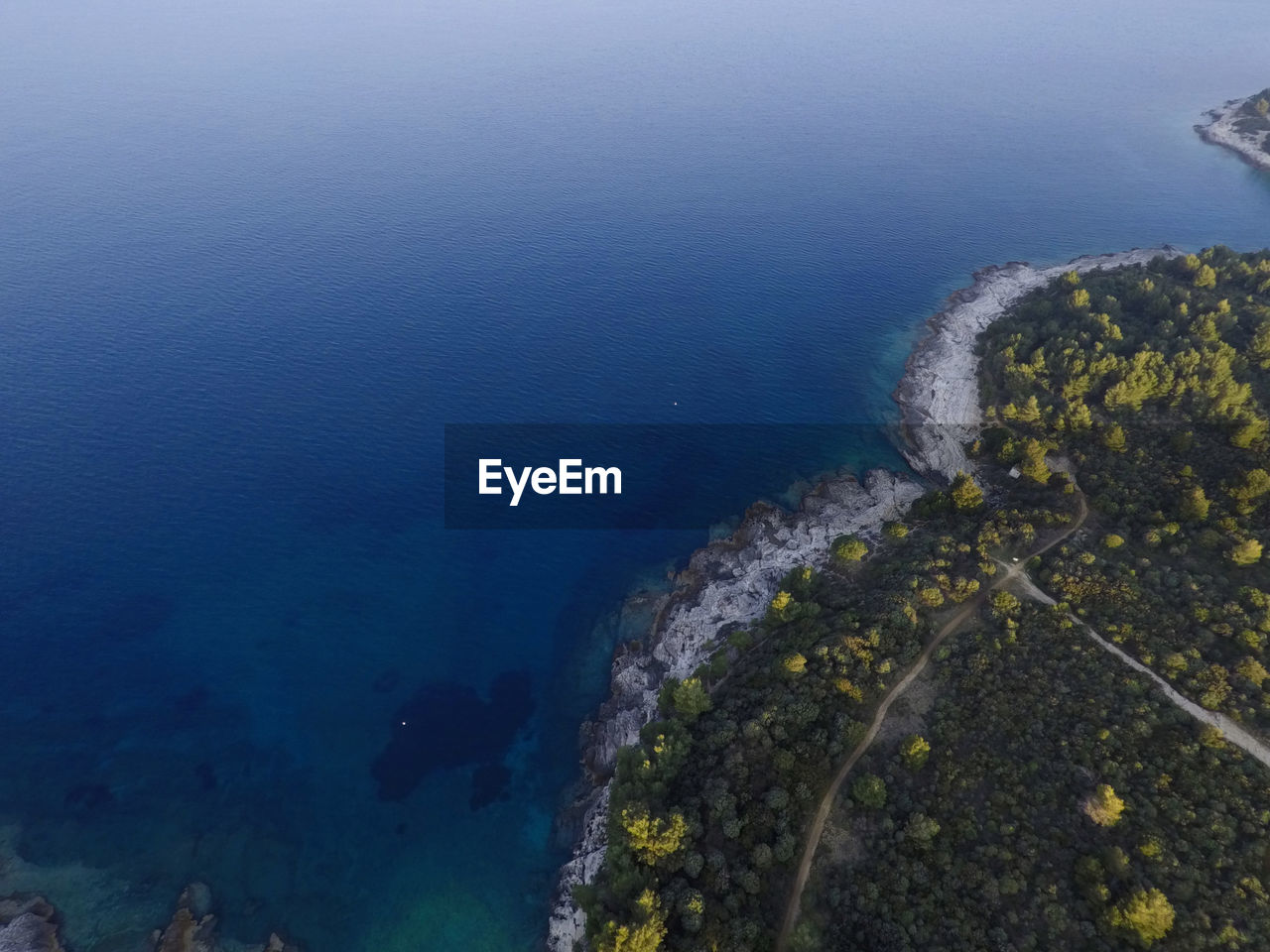 Aerial view of sea by forest