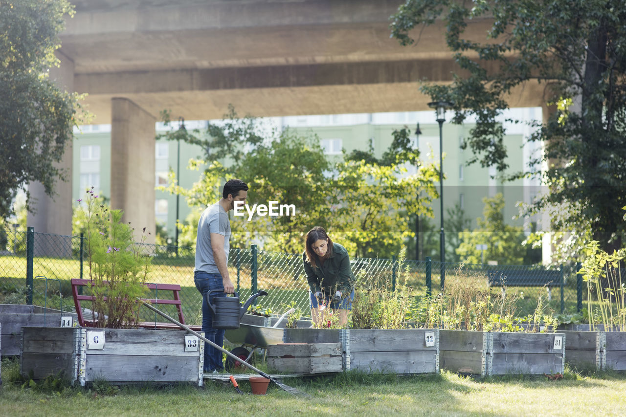 Mid adult couple working in community garden