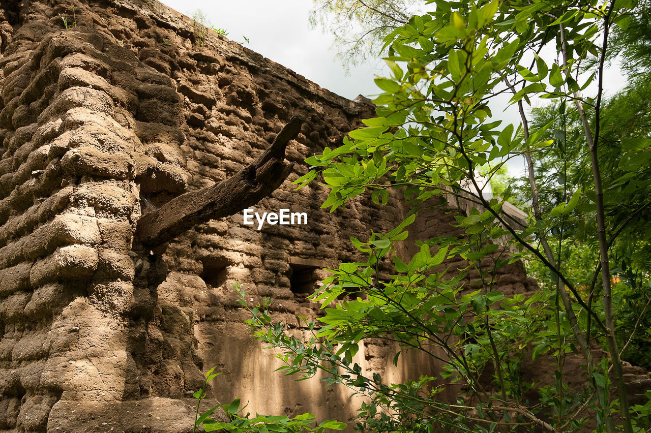 LOW ANGLE VIEW OF TREE BY ROCK FORMATION AGAINST SKY