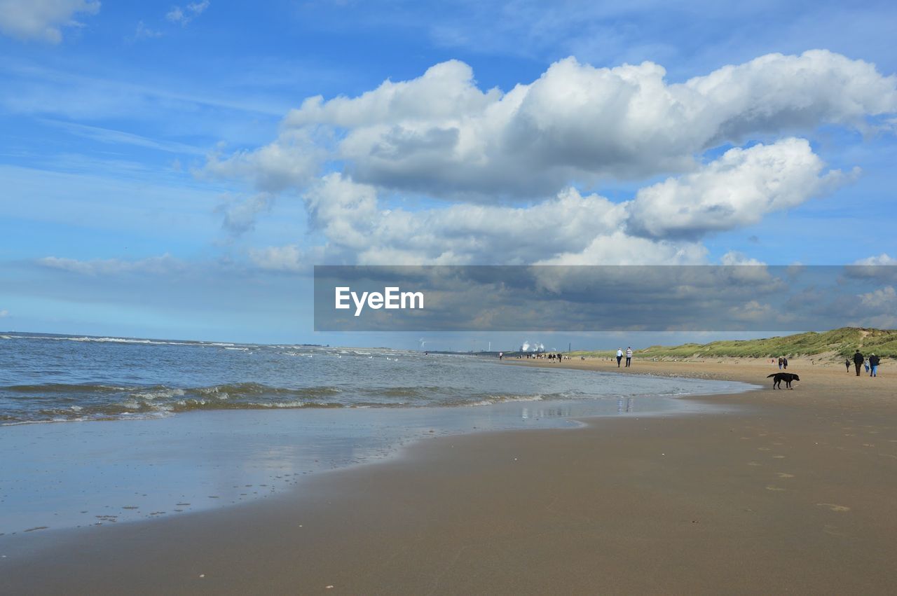 People walking on beach