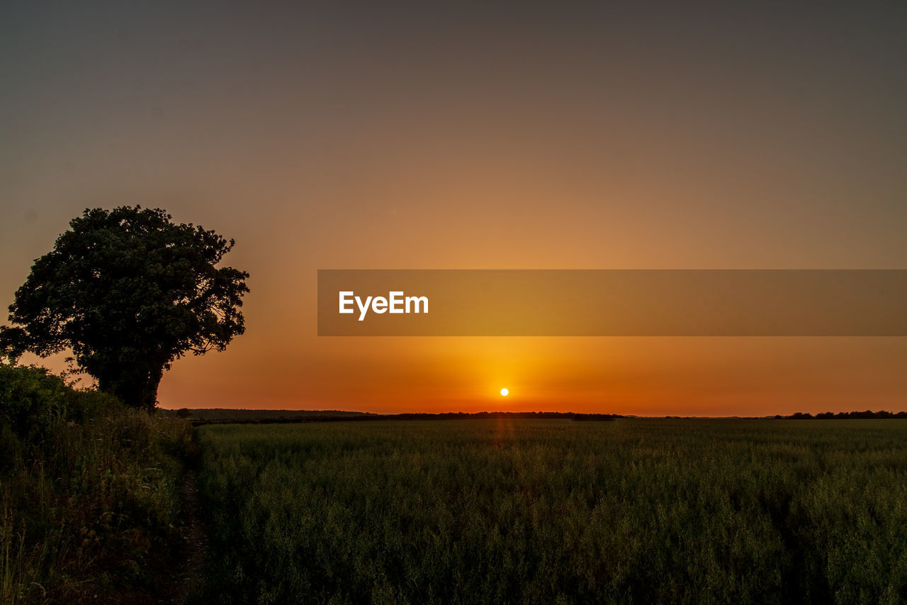 SCENIC VIEW OF FIELD DURING SUNSET